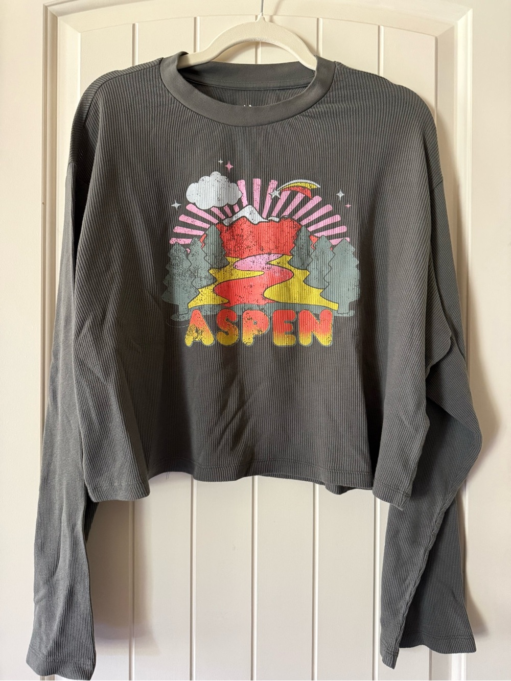 Chaser Aspen Oversized Semi Cropped Long Sleeve Graphic Tee Retro